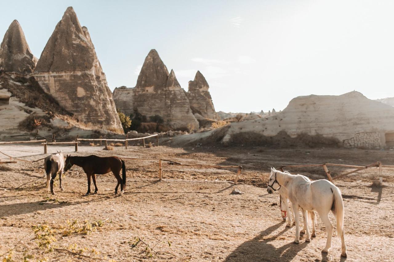 Sandik Cave Suites Nevşehir Esterno foto