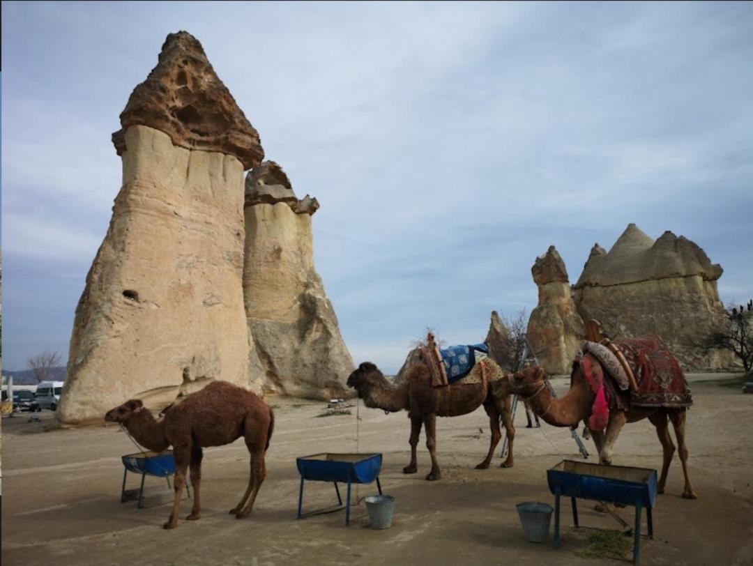 Sandik Cave Suites Nevşehir Esterno foto